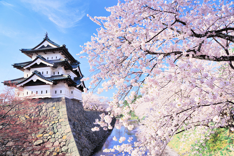 Nếu có cơ hội đến Nhật Bản vào mùa sakura (mùa hoa anh đào), bạn nhất định phải ghé thăm Công viên Lâu đài Hirosaki, để có thể trải nghiệm cảnh sắc đẹp tuyệt trần của thiên nhiên nơi đây.