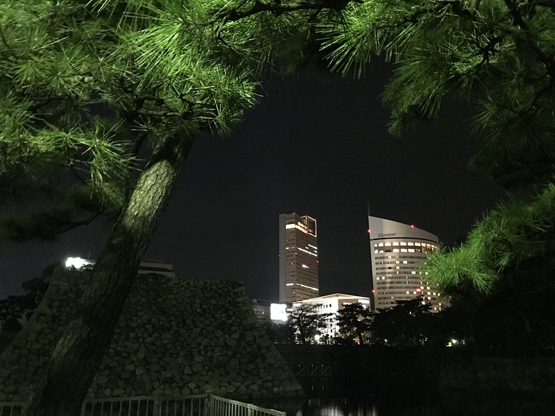 夜間高松城内から見えるビル