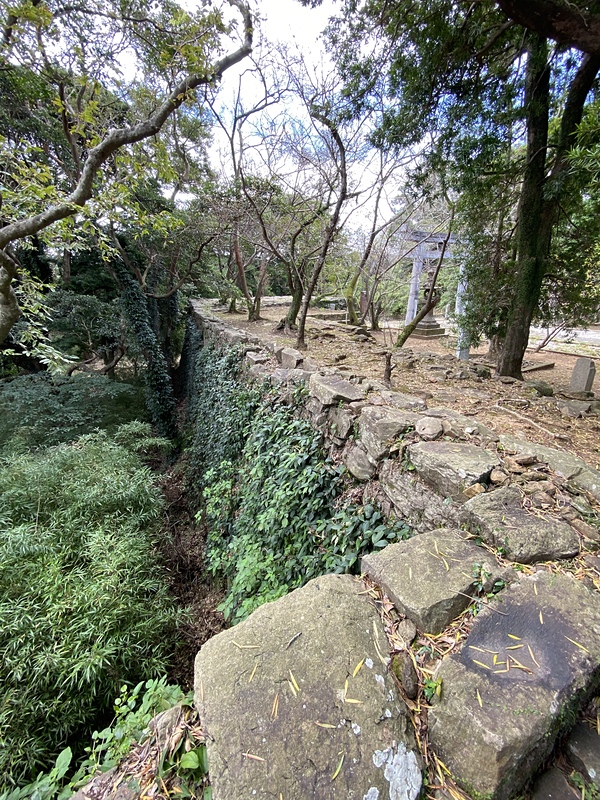 亀岡のマキ並木奥の石垣