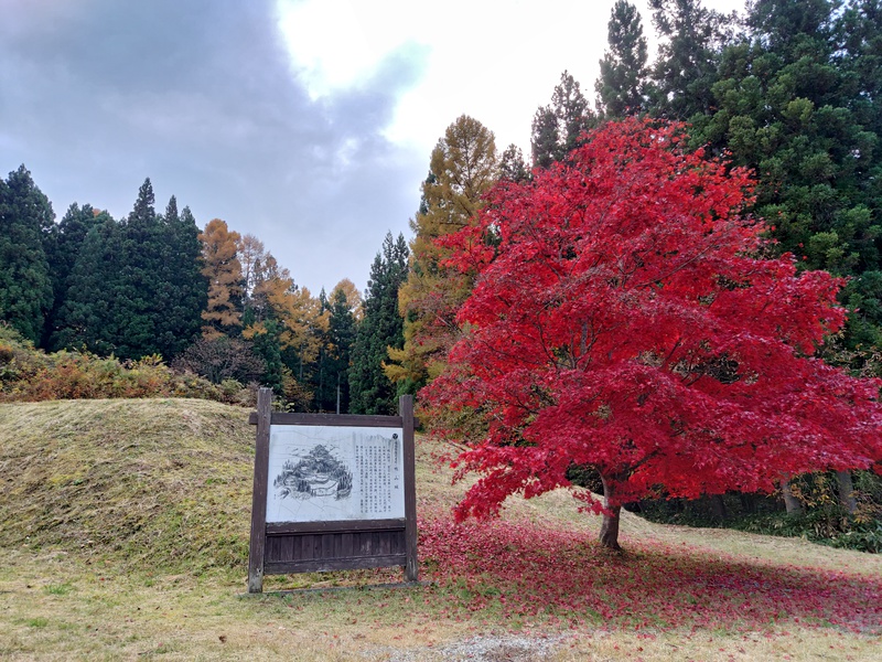 福島県指定史跡 鴫山城（大手道右手の案内板）とモミジ