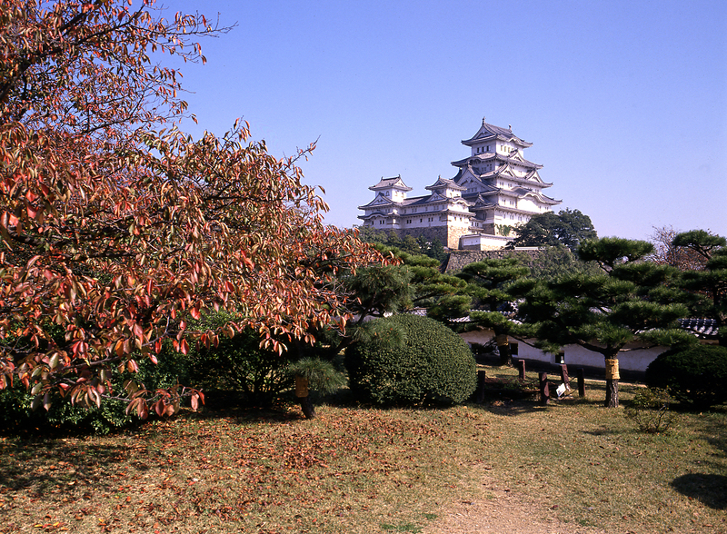 姫路城の写真 西の丸庭園から姫路城 改修前 攻城団