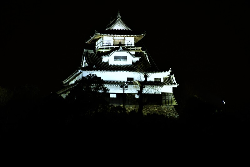 犬山城の写真 夜の犬山城 攻城団