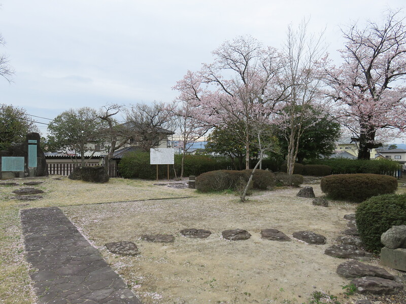 郡役所跡地横に咲く桜