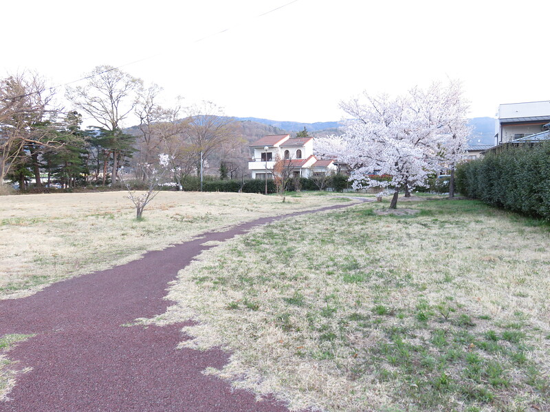 桜咲く城跡地