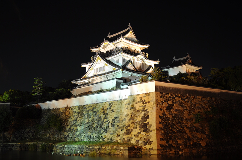 ライトアップされた岸和田城と石垣（2014年）