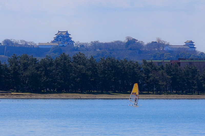 彦根城と琵琶湖