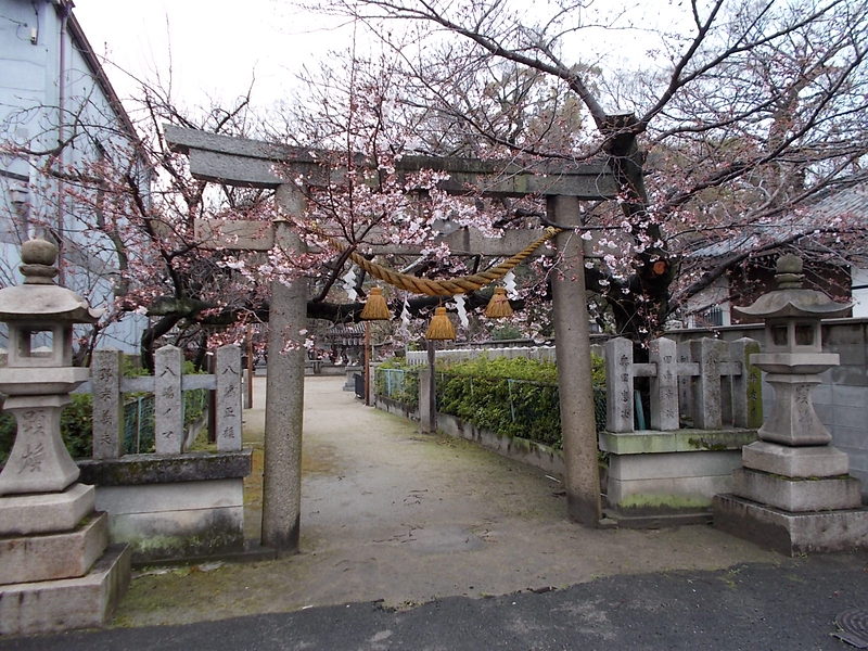旭神社の桜
