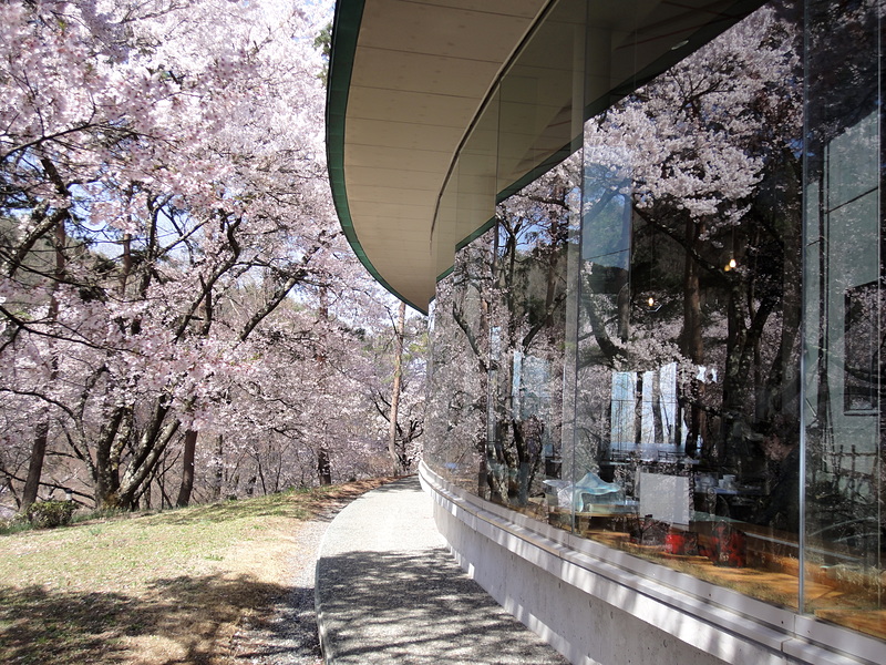 信州高遠美術館と桜