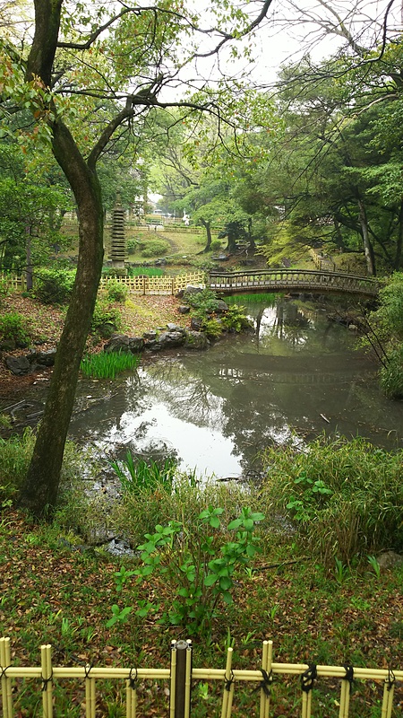 下茶屋公園池