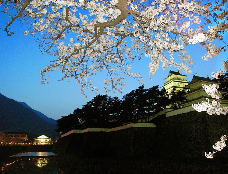 島原城と夜桜