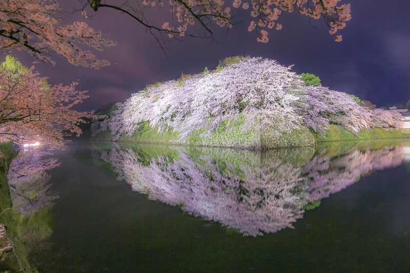 夜桜石垣
