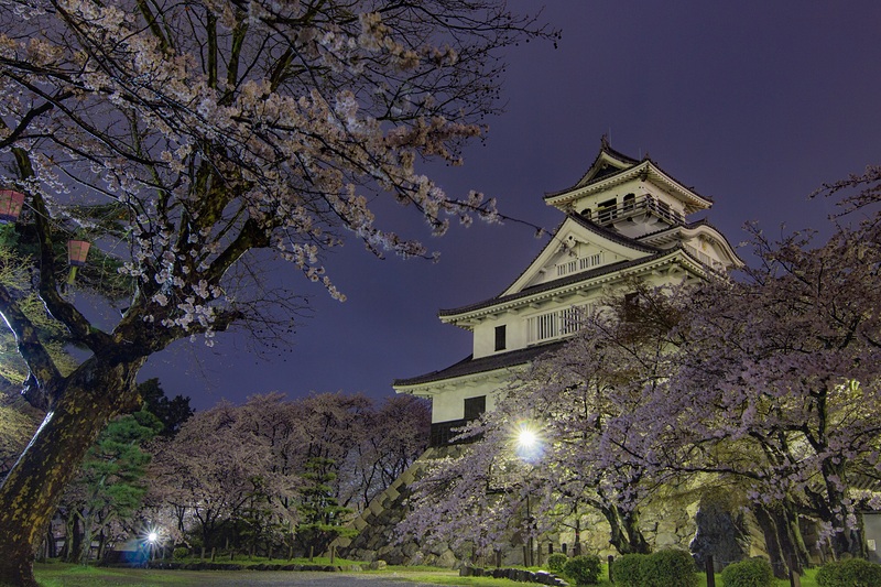 桜夜城