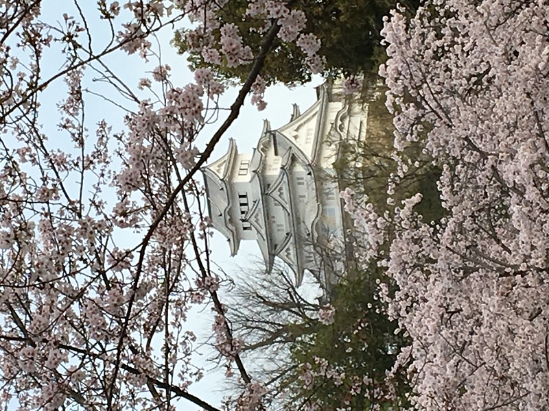 桜姫路