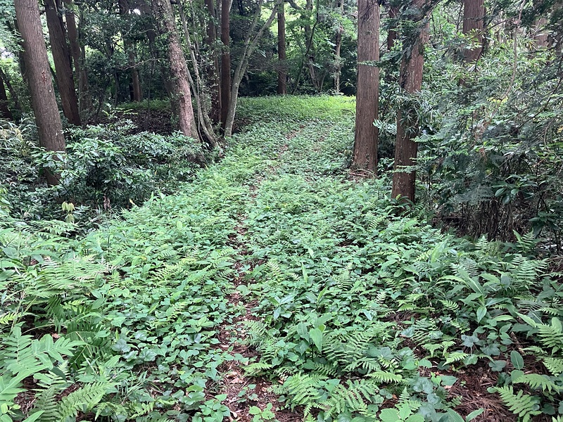 ２郭前の土橋