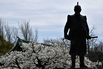 秀吉像と桜