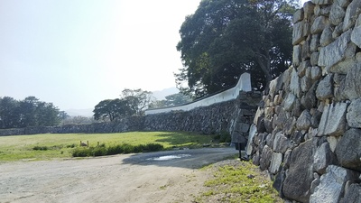 萩城 外壁
