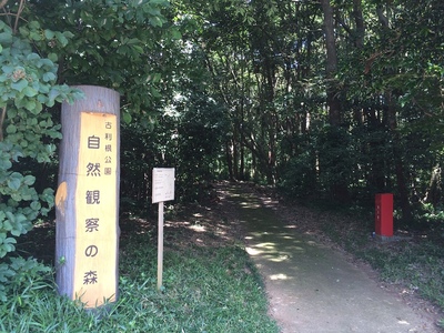 二郭・三郭に位置する自然観察の森入り口