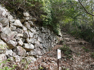 西の丸下段辺りにある石垣