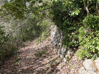 西の丸下段辺りにある石垣