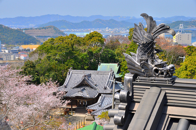 妙見神社と鯱瓦、山並み