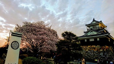葵の御紋と桜と城