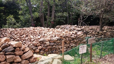 石垣の裏込め石たち