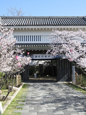 桜が彩る大手櫓門