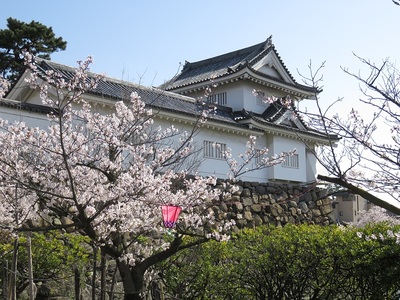 桜と本丸隅櫓