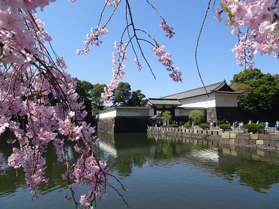 大手門(2018春)