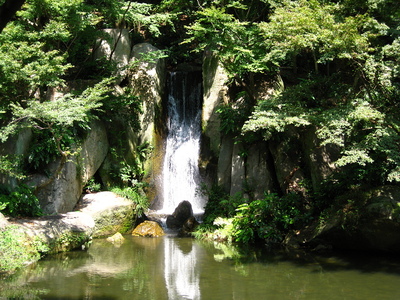 庭園の滝