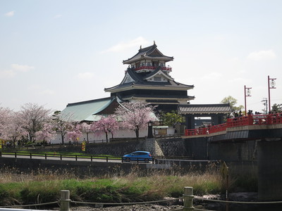 桜と清州城（西から）