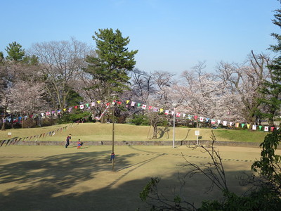 桜祭り会場の本丸