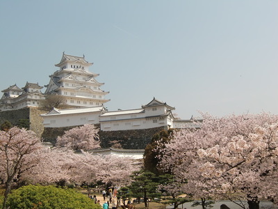 姫路城桜の雲海