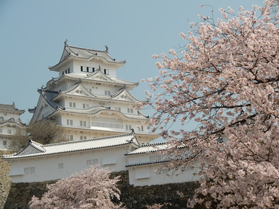 姫路城桜望景