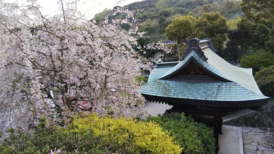 片苅城 桜と門