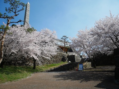 鋼門跡と桜