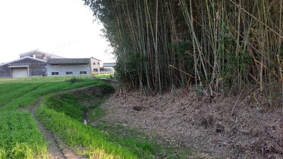 千布城　主郭　土塁と空堀②