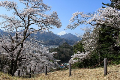 桜のハートと富士山