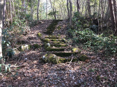 岩見丸山城　八の曲輪から西の丸にのぼる階段