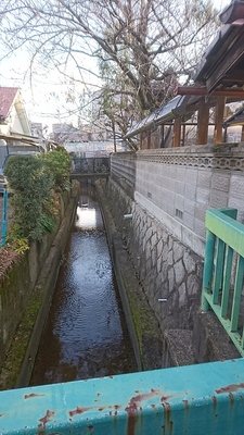 真徳寺前の用水路