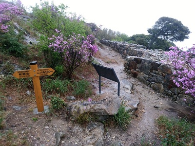 清水山城の一の丸の石垣