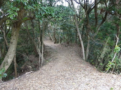 本郭土橋（出郭側）