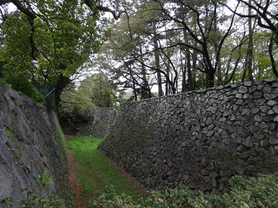 東南隅櫓から見た二之丸方面の堀跡