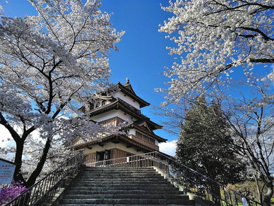 高島城に春が来た。