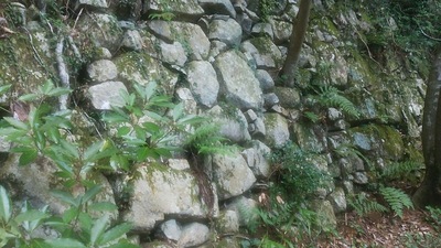 三の丸跡下の石垣