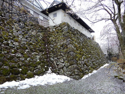 残った雪と桜と石垣
