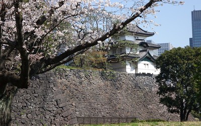 乾通りから見た富士見櫓と桜