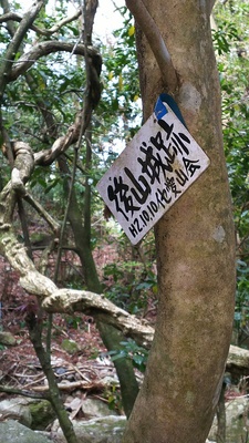 木に掛けてある表示板