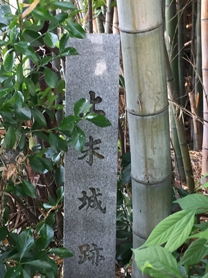 竹藪に埋もれた石碑