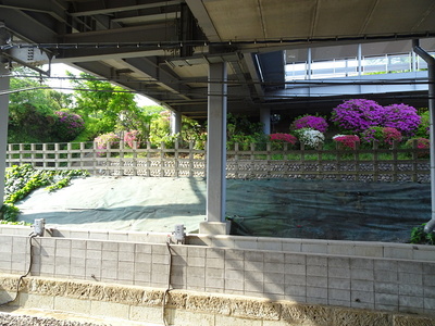 東武佐野駅ホームから見た城山公園(三の丸跡)